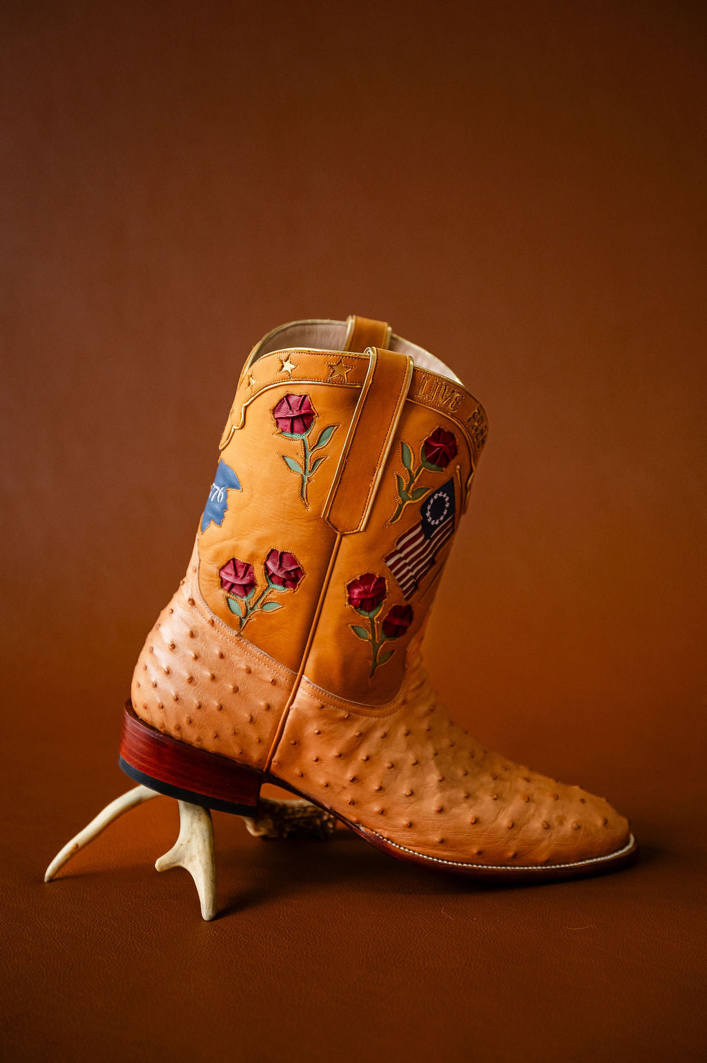 Mister Paloma Liberty Cowboy Boot – Petite Paloma display picture 3