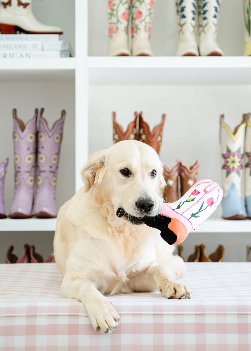 Dog holding the Sadie plush boot toy