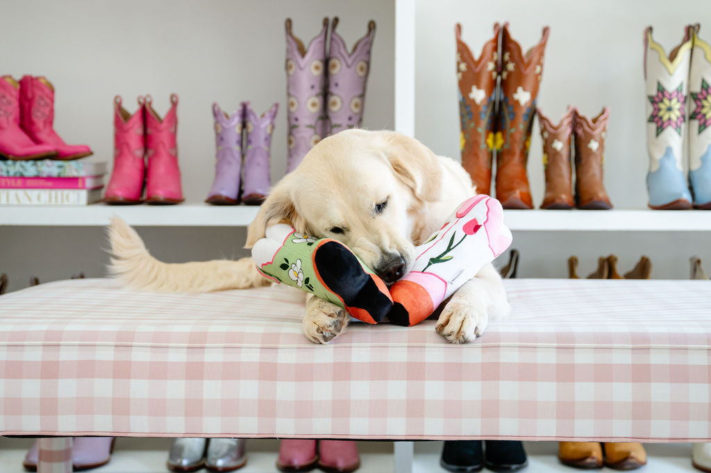 For the Love of Dogs